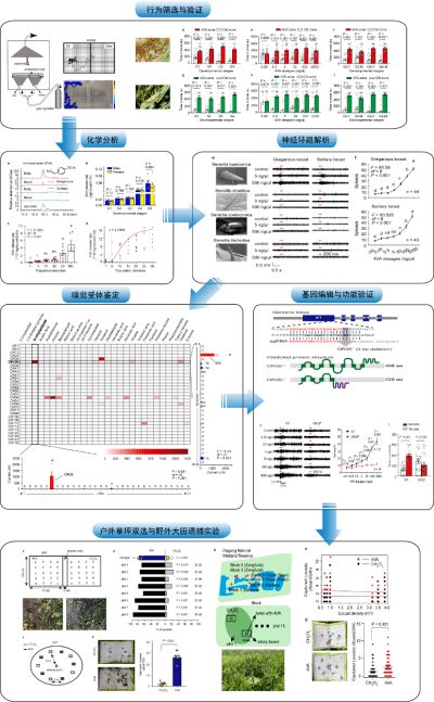 中科院2020年第3季度科技創新亮點成果發布 信息系統集成服務展現新突破