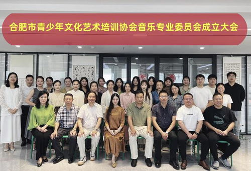 合肥市青少年文化藝術(shù)培訓(xùn)協(xié)會音樂專業(yè)委員會正式成立