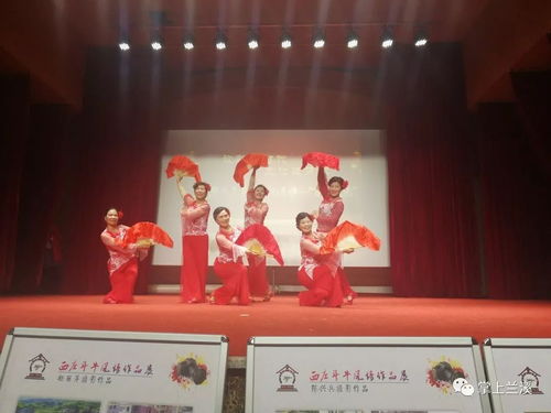 文化惠風(fēng)暖鄉(xiāng)間——記蘭溪市水鳥文化藝術(shù)團2019新春“百臺村晚”之行